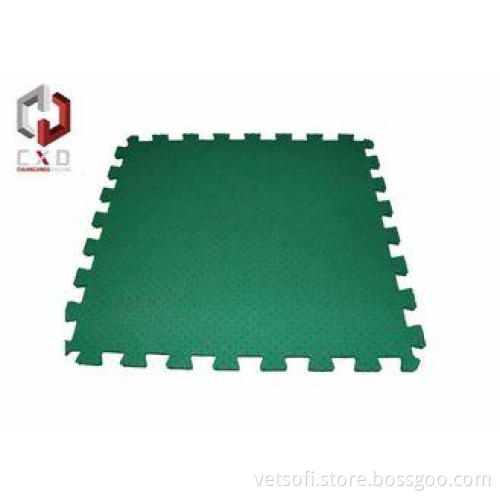 Green Eva Foam ECO Yoga Mat With Small Hole , 173 * 61 cm